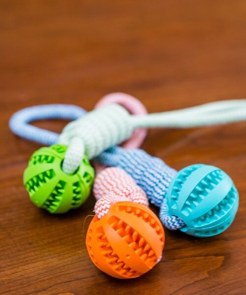 Durable Rubber Ball Chew Toy with Cotton Rope